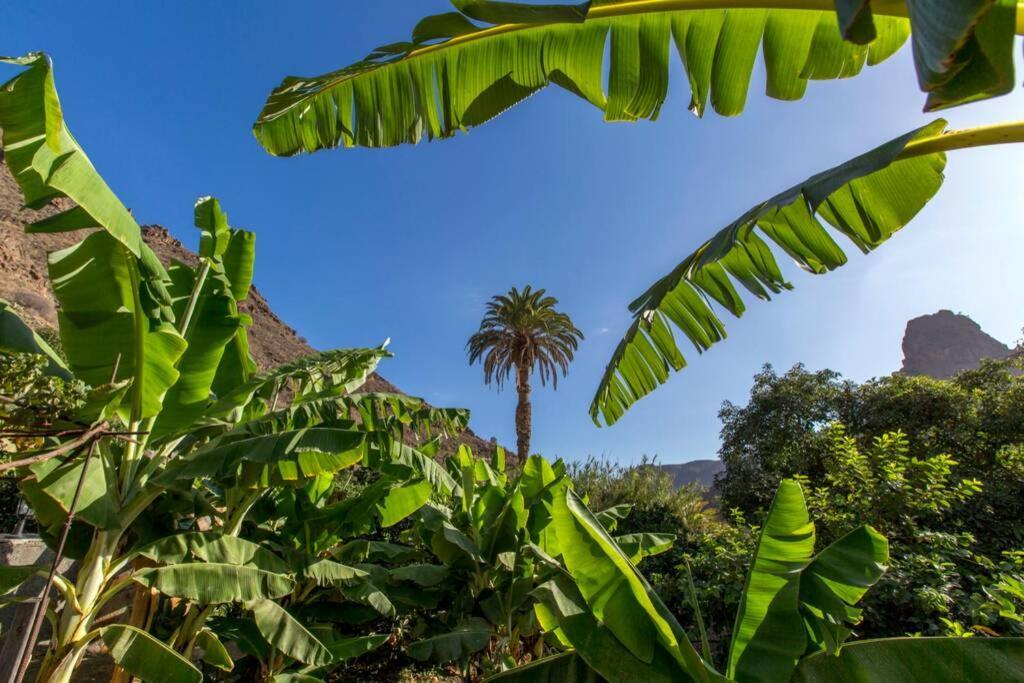 Vivienda Vacacional La Finca Los Palmitos Kültér fotó